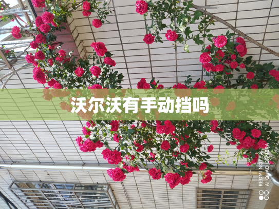 沃尔沃有手动挡吗