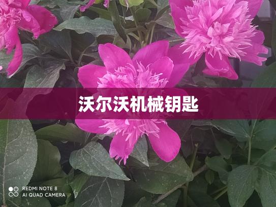 沃尔沃机械钥匙