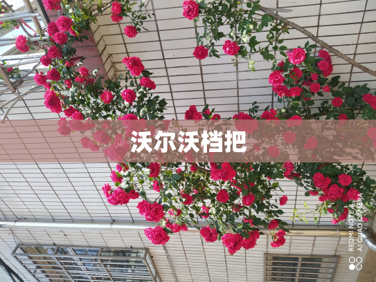 沃尔沃档把