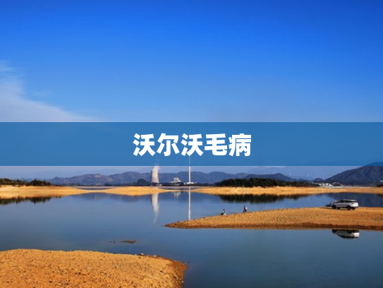 沃尔沃毛病
