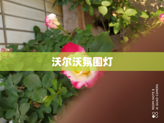 沃尔沃氛围灯