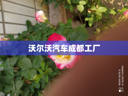 沃尔沃汽车成都工厂