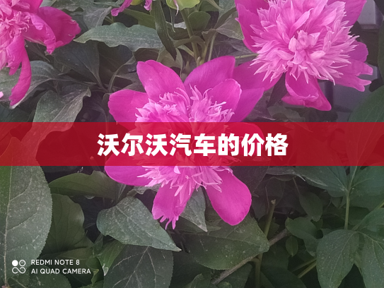 沃尔沃汽车的价格