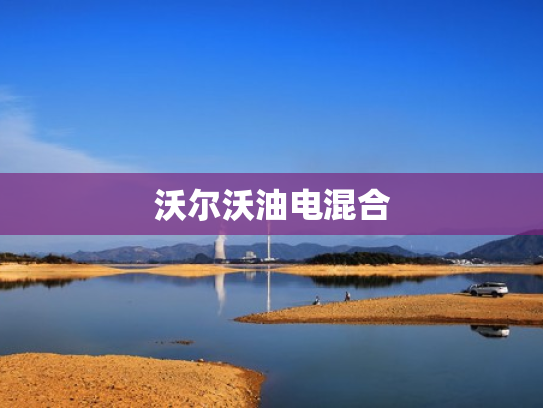 沃尔沃油电混合