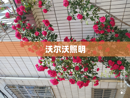 沃尔沃照明