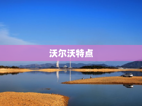 沃尔沃特点