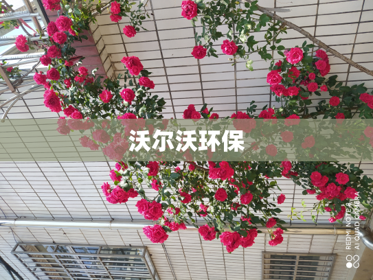 沃尔沃环保