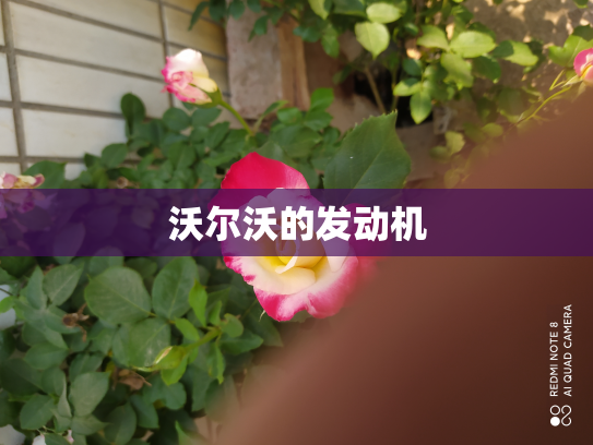 沃尔沃的发动机