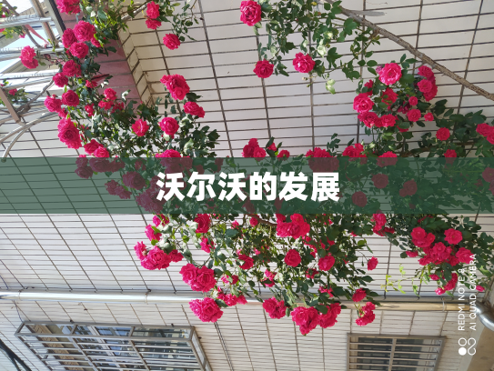 沃尔沃的发展