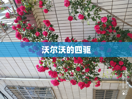 沃尔沃的四驱