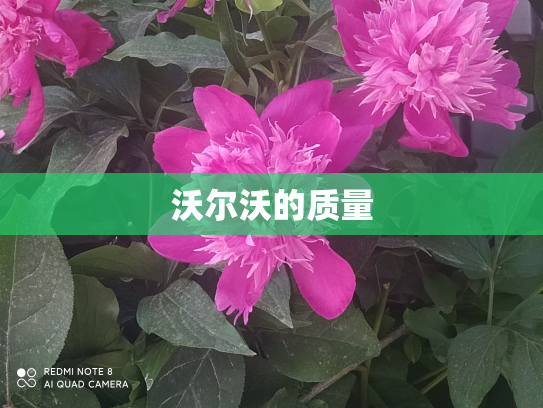 沃尔沃的质量