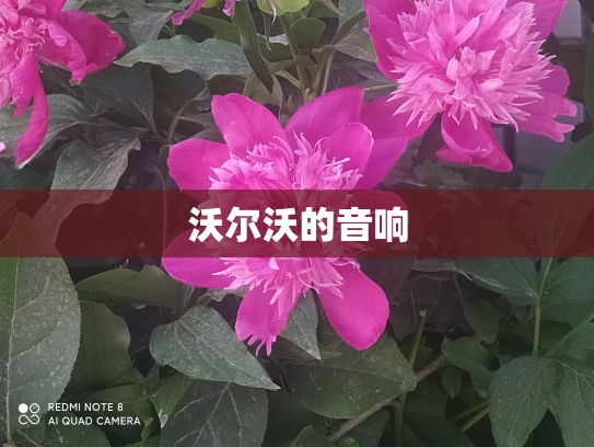沃尔沃的音响