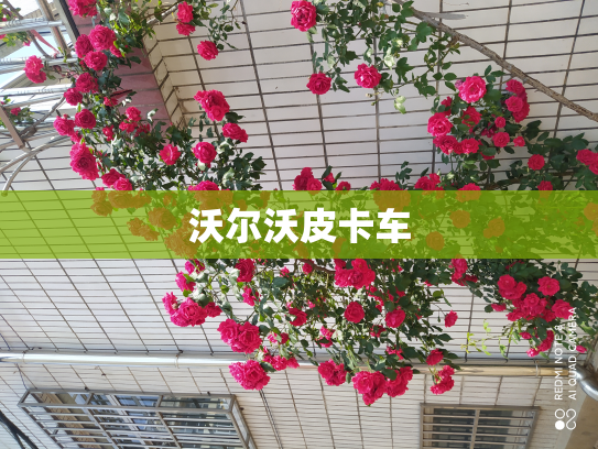 沃尔沃皮卡车