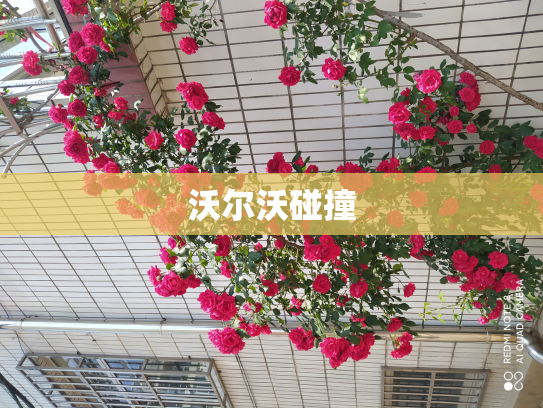 沃尔沃碰撞