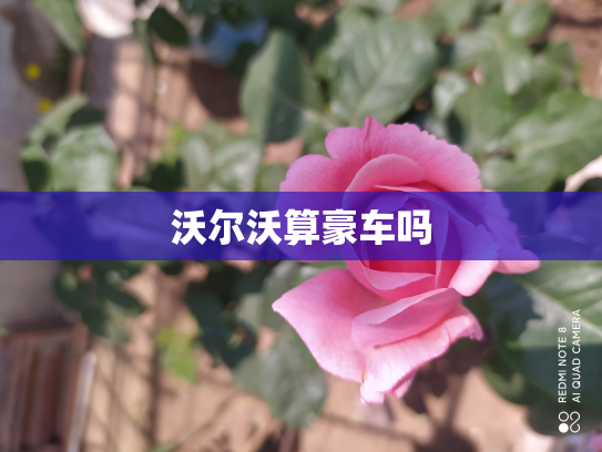 沃尔沃算豪车吗