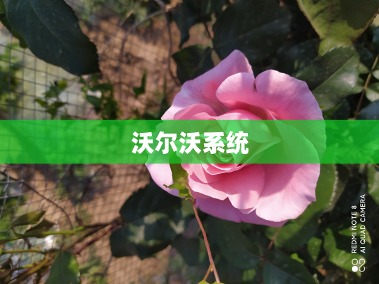 沃尔沃系统