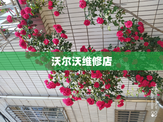 沃尔沃维修店