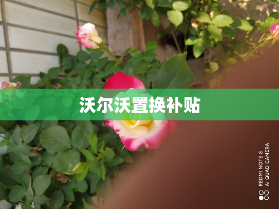 沃尔沃置换补贴