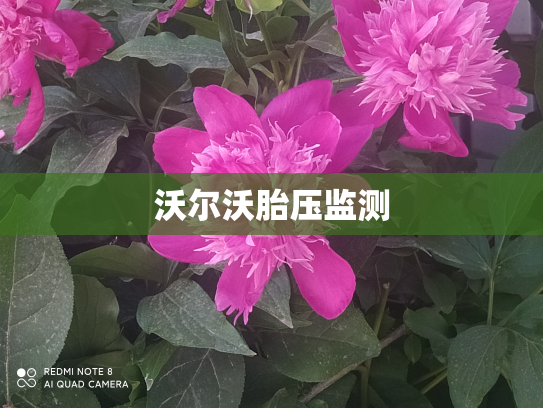 沃尔沃胎压监测