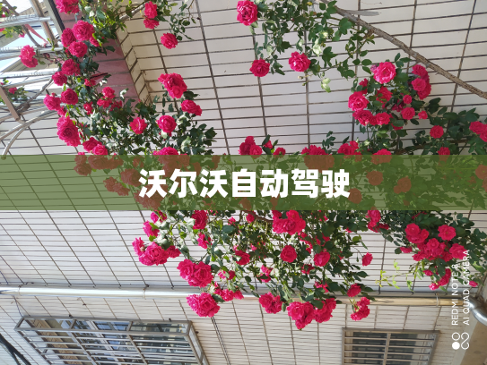 沃尔沃自动驾驶