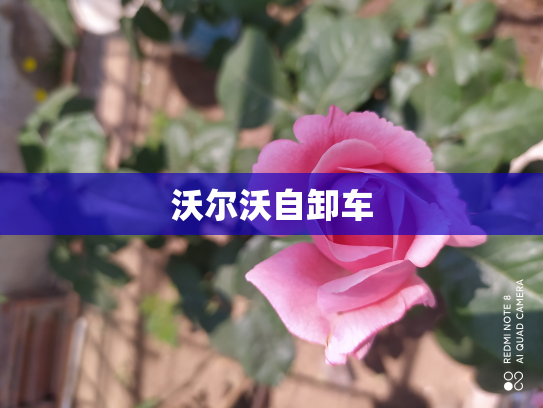 沃尔沃自卸车
