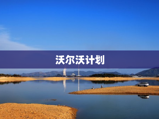 沃尔沃计划