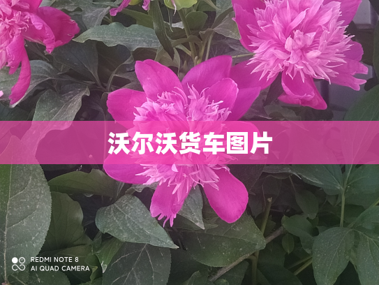沃尔沃货车图片