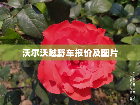 沃尔沃越野车报价及图片