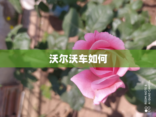 沃尔沃车如何