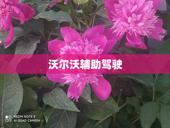 沃尔沃辅助驾驶