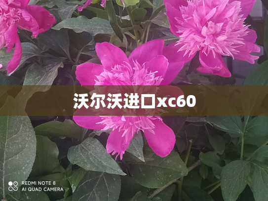 沃尔沃进口xc60