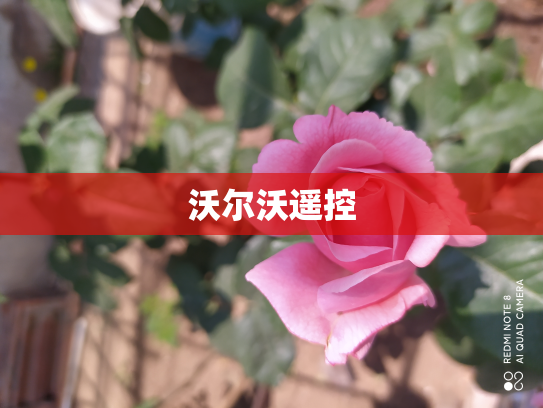 沃尔沃遥控