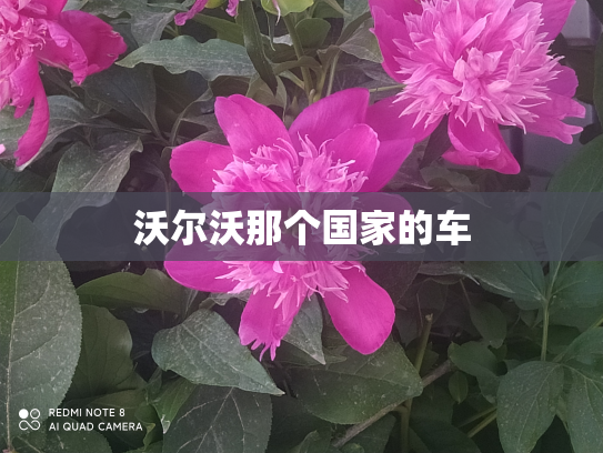 沃尔沃那个国家的车