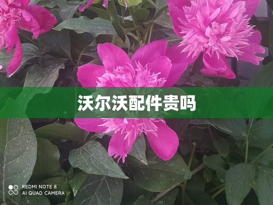 沃尔沃配件贵吗