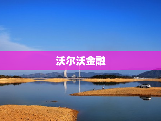 沃尔沃金融