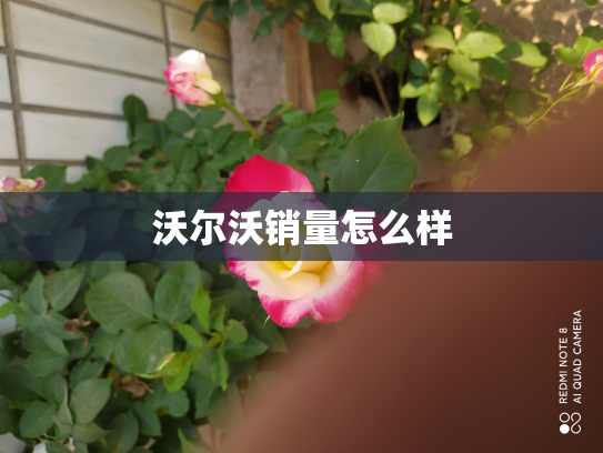 沃尔沃销量怎么样