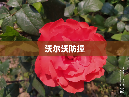 沃尔沃防撞