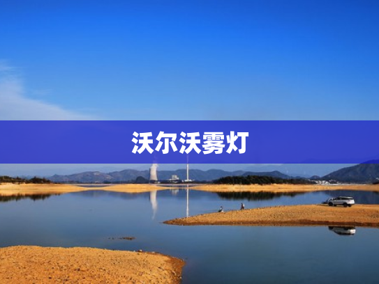 沃尔沃雾灯