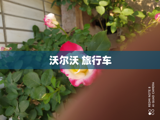 沃尔沃 旅行车