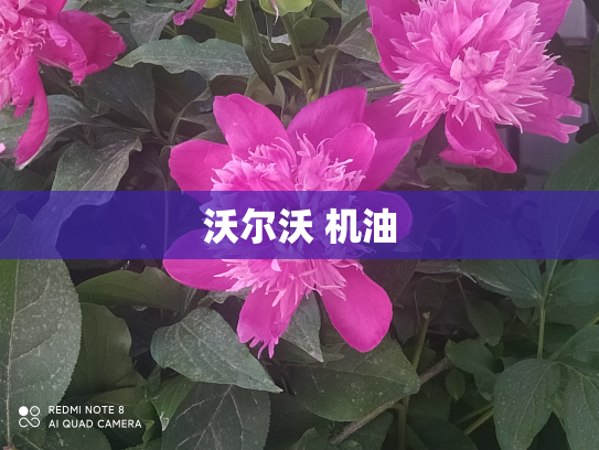 沃尔沃 机油