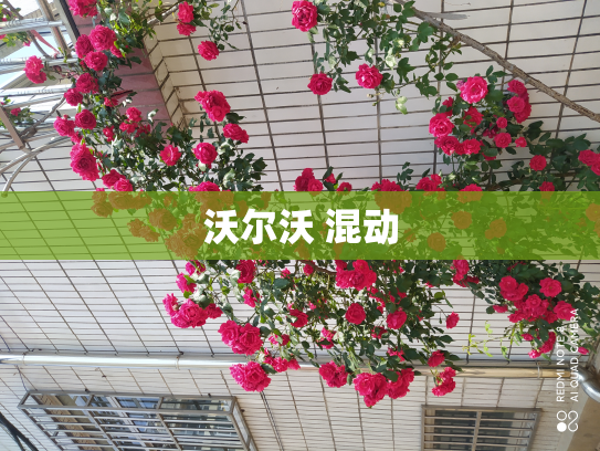 沃尔沃 混动