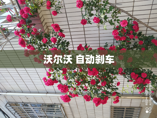 沃尔沃 自动刹车
