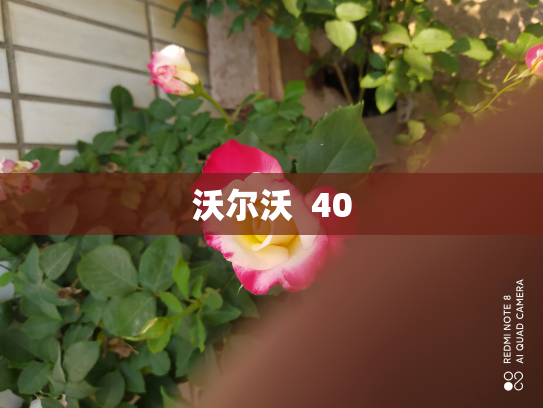 沃尔沃  40
