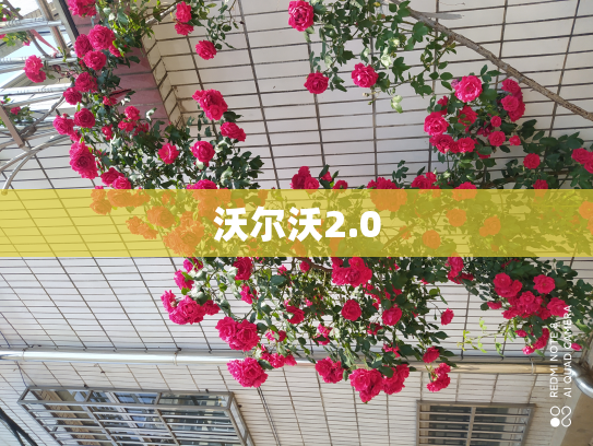 沃尔沃2.0