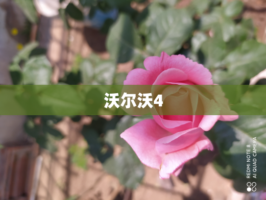 沃尔沃4