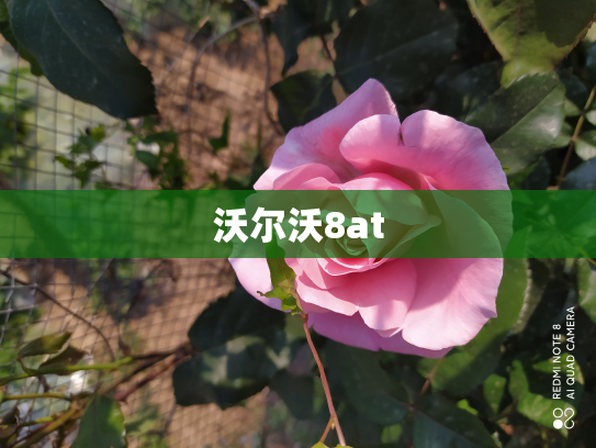 沃尔沃8at