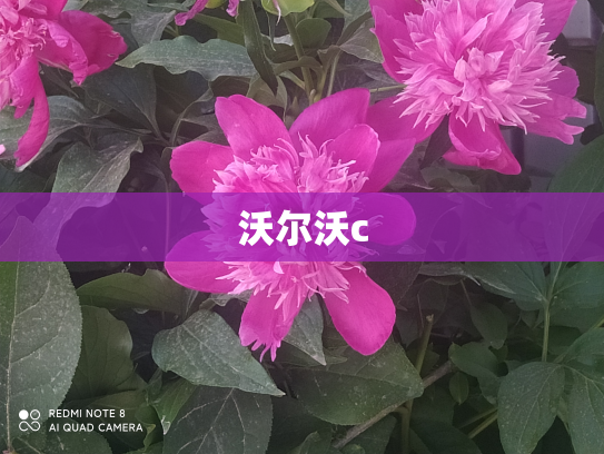 沃尔沃c