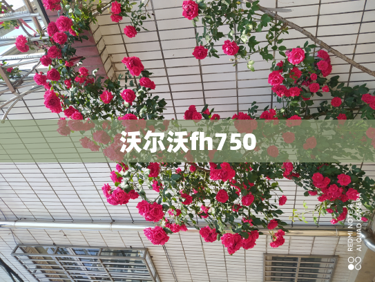 沃尔沃fh750