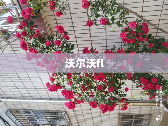 沃尔沃fl