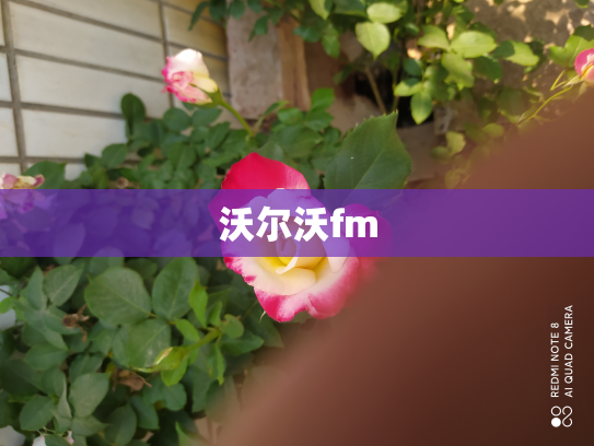 沃尔沃fm